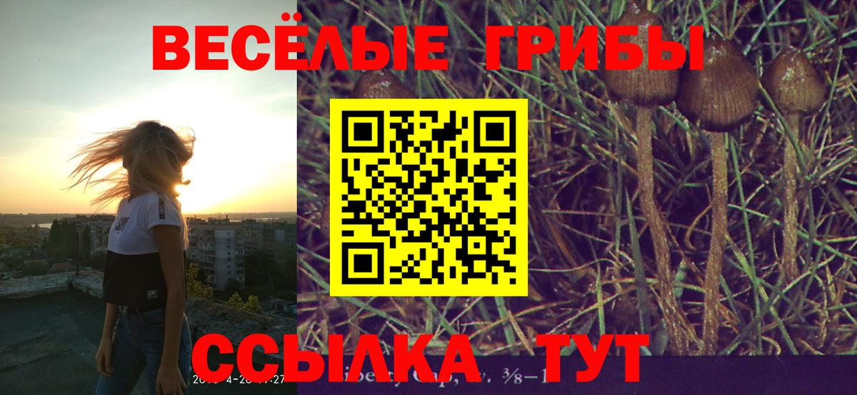 Галлюциногенные грибы прущие грибы  Вход с VPN  что такое наркотик  Таганрог 